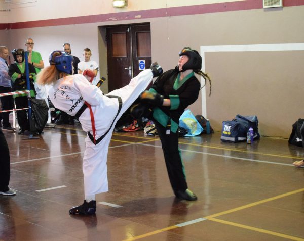 DSC_0399 adult sparring